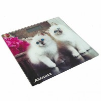 Весы напольные АКСИНЬЯ КС-6003 Пушистые котята