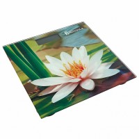 Весы напольные ВАСИЛИСА ВА-4011 Кувшинка