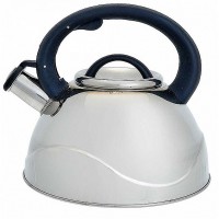 Чайник WEBBER BE-0524